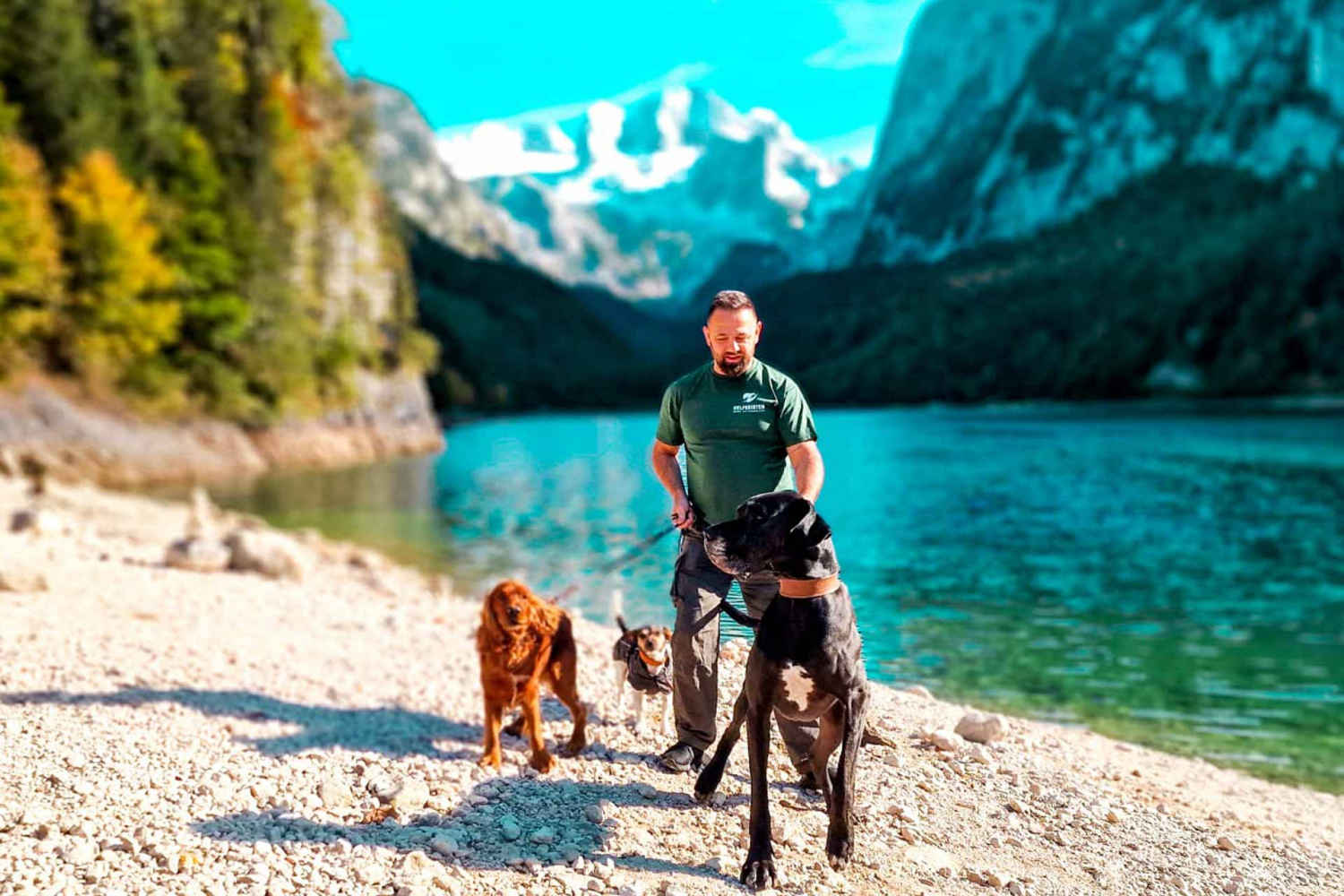 Ein Mann steht auf einem idyllischen Bergseestrand, umgeben von majestätischen Alpen, während er drei Hunde an der Leine hält.
